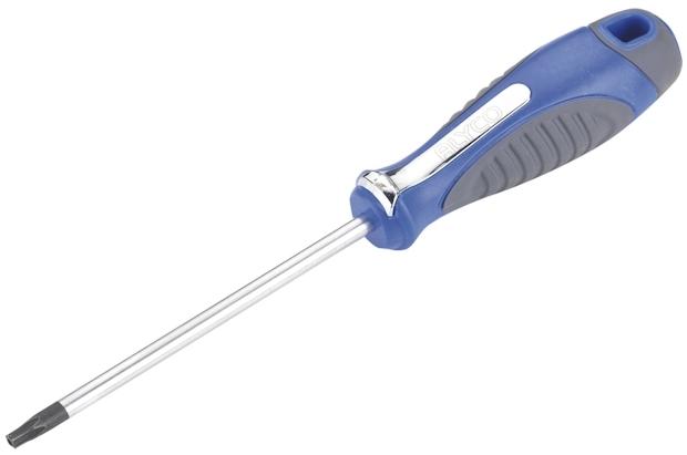 DESTOR.ALY.B-TORX INVIOL.T25x100mms