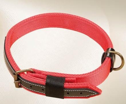 COLLAR NYLON 50x2,5