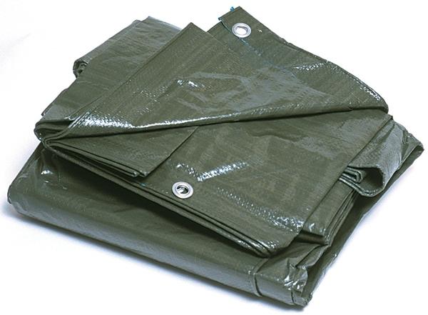 TOLDO 115grs 4x6m PG07 09/21