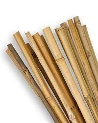 TUTOR BAMBU 06004 1,5m 12/14mm 5uds 4593