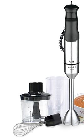 BATIDORA 1200w PIE INOX C/ACCS.